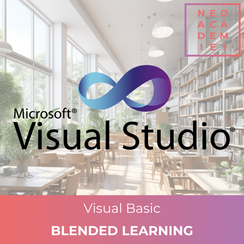 Microsoft Visual Basic (VBA et Macros Excel) - [BLENDED LEARNING]