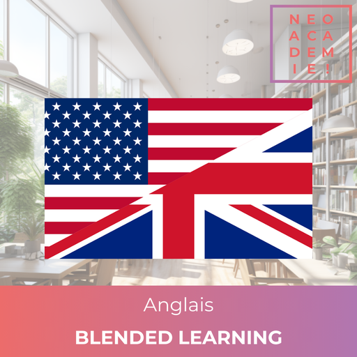 Anglais (Individuel) du Niveau A1 à B2- [BLENDED-LEARNING]