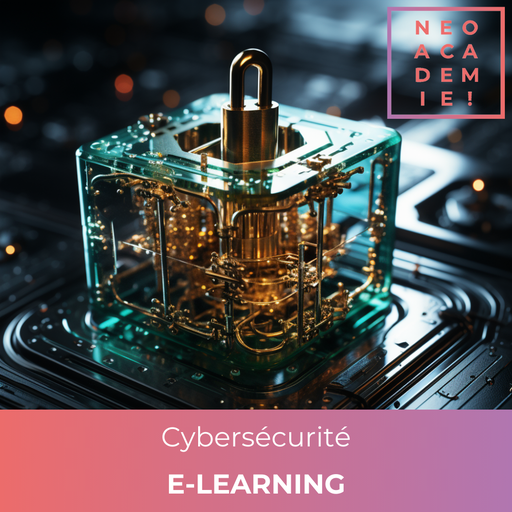 Cybersécurité - Modules 1 à 3 - [E-LEARNING]