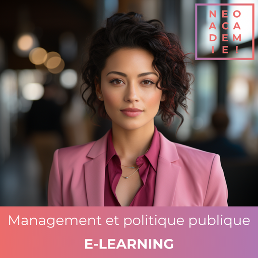 Management et politique publique - [E-LEARNING]