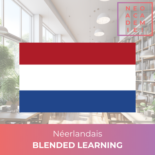 Néerlandais (A1-C1) - [BLENDED LEARNING]