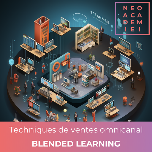 Techniques de ventes omnicanal - [BLENDED LEARNING]