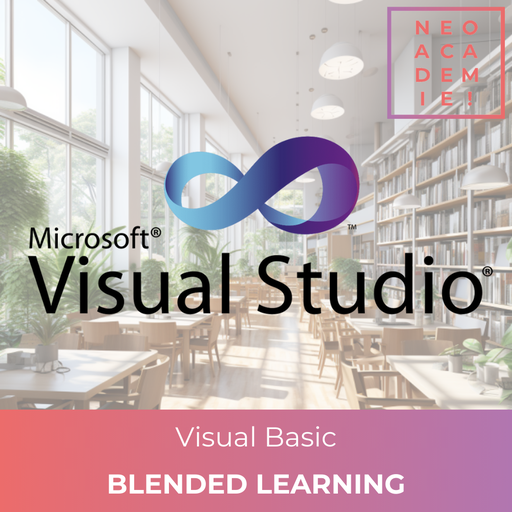 Microsoft Visual Basic (VBA et Macros Excel) - [BLENDED LEARNING]