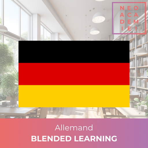 Allemand (Individuel) Niveau A1 à B2 - [BLENDED LEARNING] 